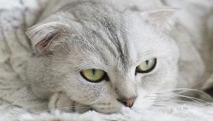 玉溪高价上海医保提取2025的最新政策(2025年玉溪上海医保怎么提取现金分享)