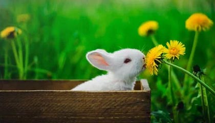 玉溪求一个套医保卡的黄牛浙江的最新政策(2025年玉溪温州医保卡黄牛分享)